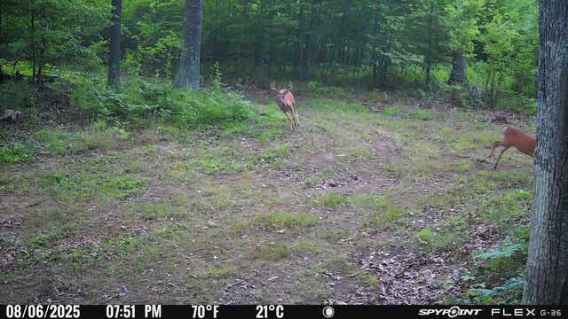 Tbd Doetch Lane Gordon, WI 54838 - Photo 30 of 93