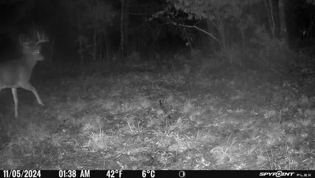 $399,900 | Tbd Doetch Lane, Gordon, WI 54838