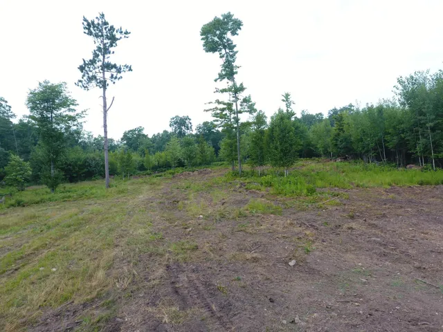 $399,900 | Tbd Doetch Lane, Gordon, WI 54838