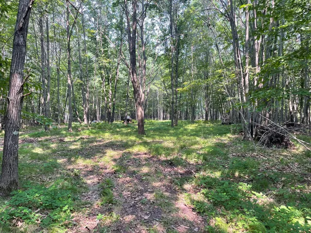 $399,900 | Tbd Doetch Lane, Gordon, WI 54838
