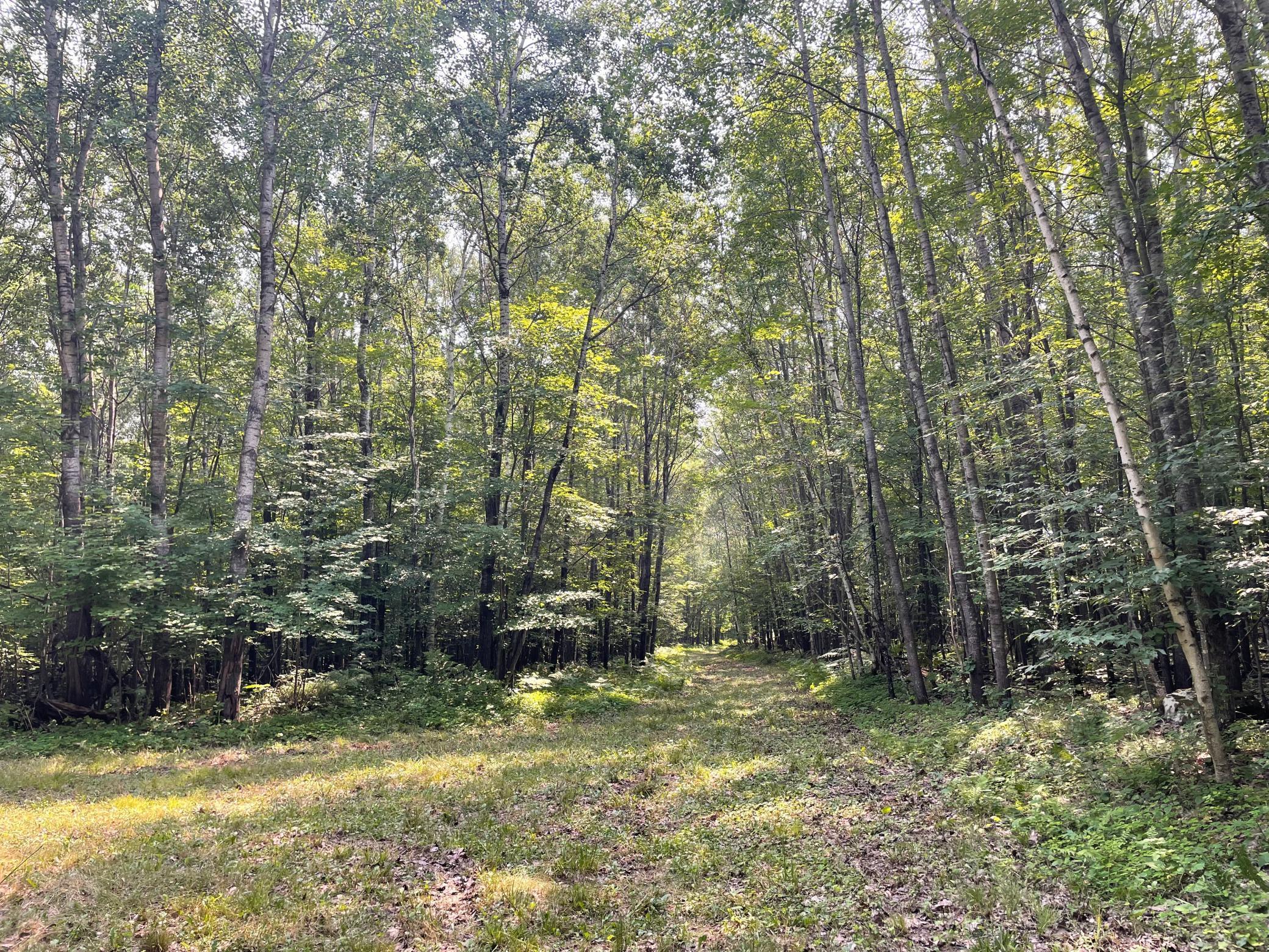 Tbd Doetch Lane Gordon, WI 54838 - Photo 38 of 93