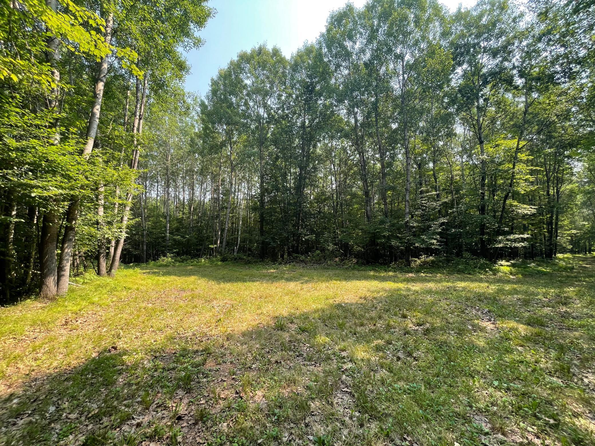 Tbd Doetch Lane Gordon, WI 54838 - Photo 39 of 93