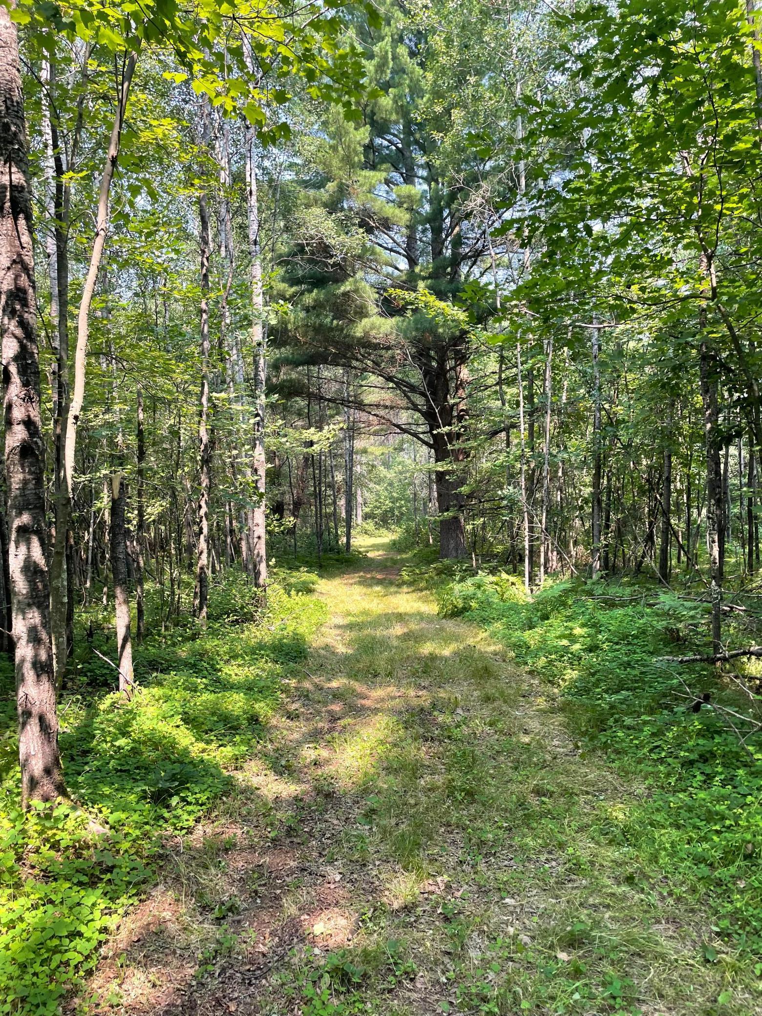 Tbd Doetch Lane Gordon, WI 54838 - Photo 40 of 93