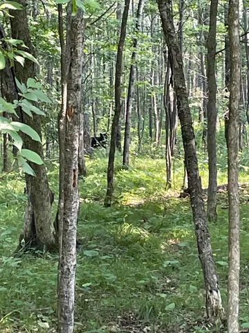 $399,900 | Tbd Doetch Lane, Gordon, WI 54838