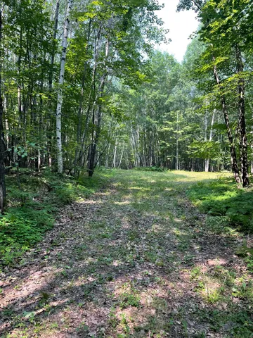 $399,900 | Tbd Doetch Lane, Gordon, WI 54838