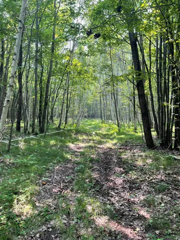 $399,900 | Tbd Doetch Lane, Gordon, WI 54838