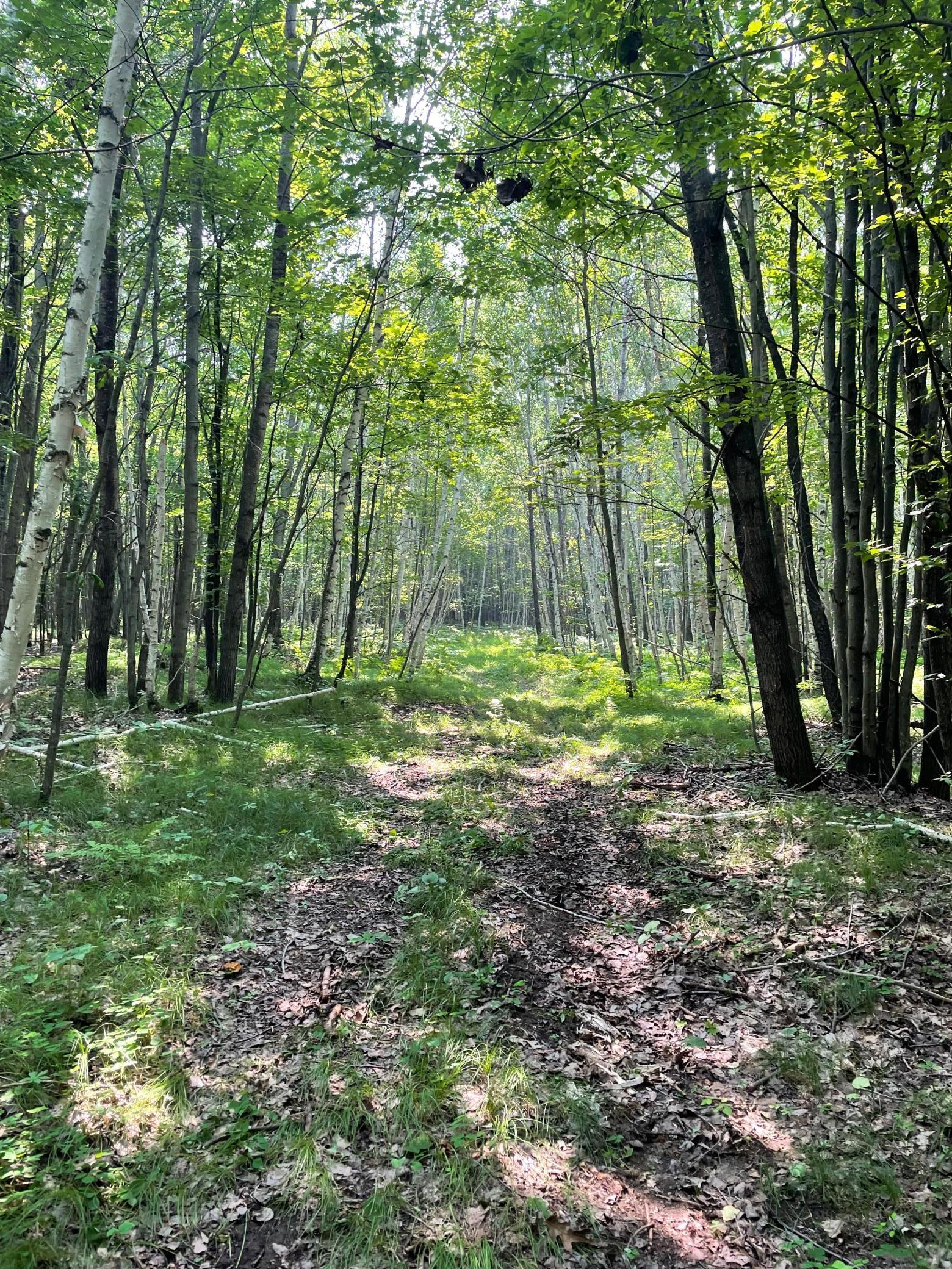 Tbd Doetch Lane Gordon, WI 54838 - Photo 47 of 93