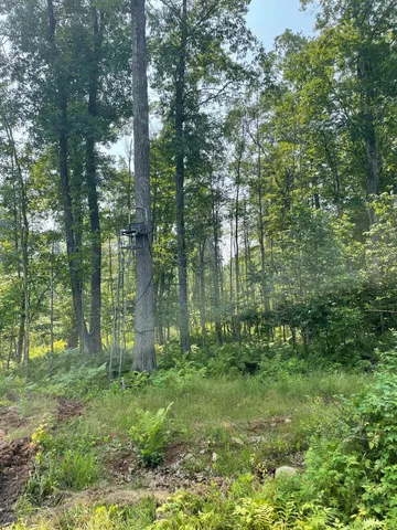 $399,900 | Tbd Doetch Lane, Gordon, WI 54838