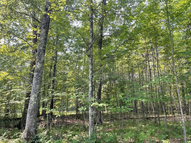 $399,900 | Tbd Doetch Lane, Gordon, WI 54838