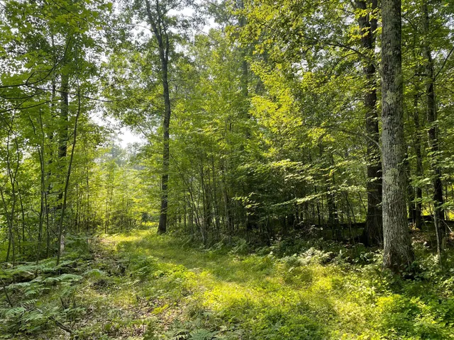 $399,900 | Tbd Doetch Lane, Gordon, WI 54838