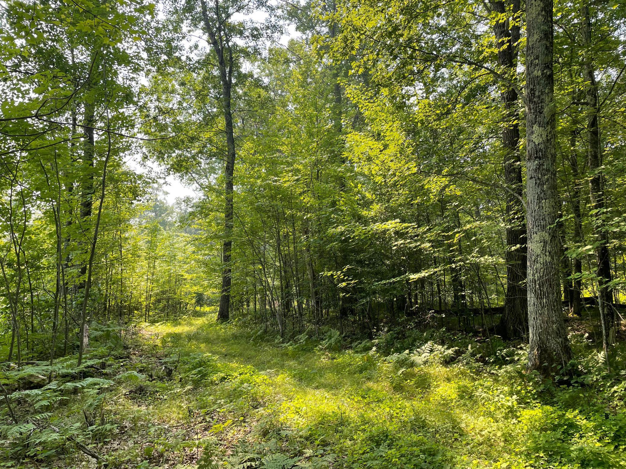 Tbd Doetch Lane Gordon, WI 54838 - Photo 50 of 93