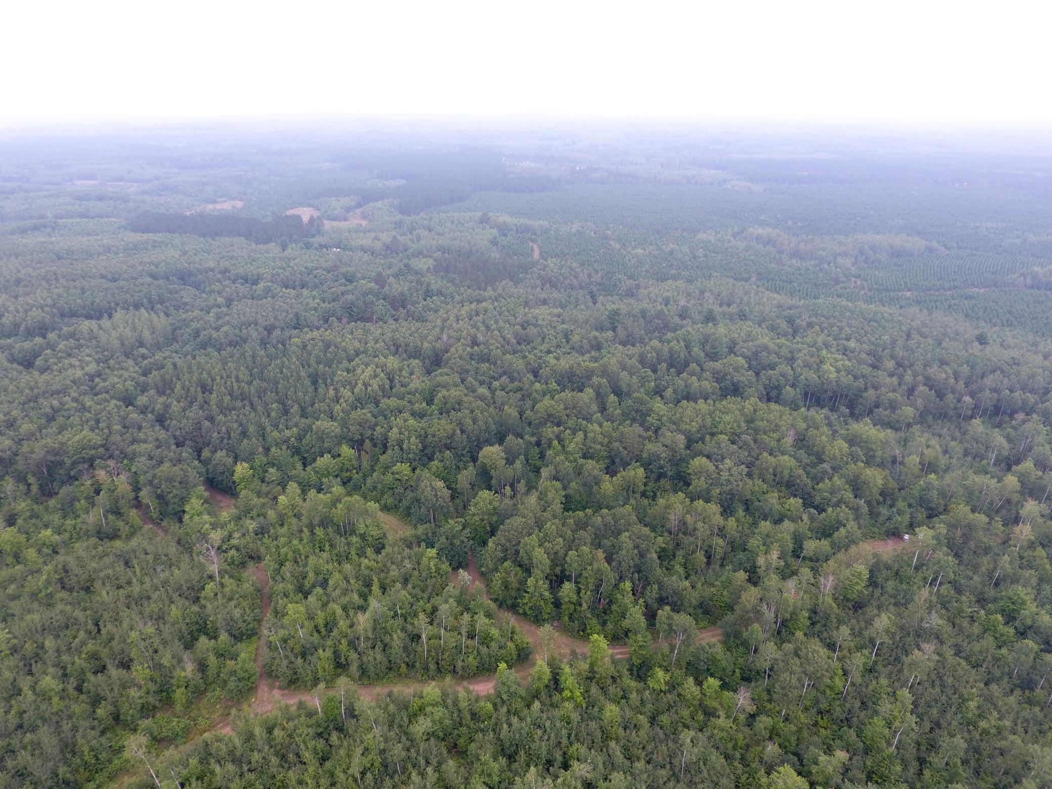 Tbd Doetch Lane Gordon, WI 54838 - Photo 5 of 93