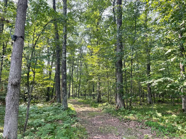 $399,900 | Tbd Doetch Lane, Gordon, WI 54838