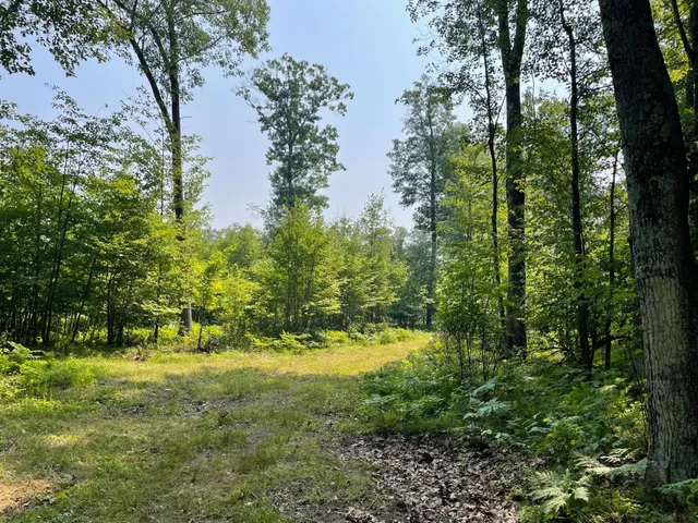 $399,900 | Tbd Doetch Lane, Gordon, WI 54838