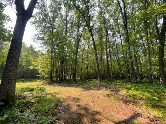 $399,900 | Tbd Doetch Lane, Gordon, WI 54838