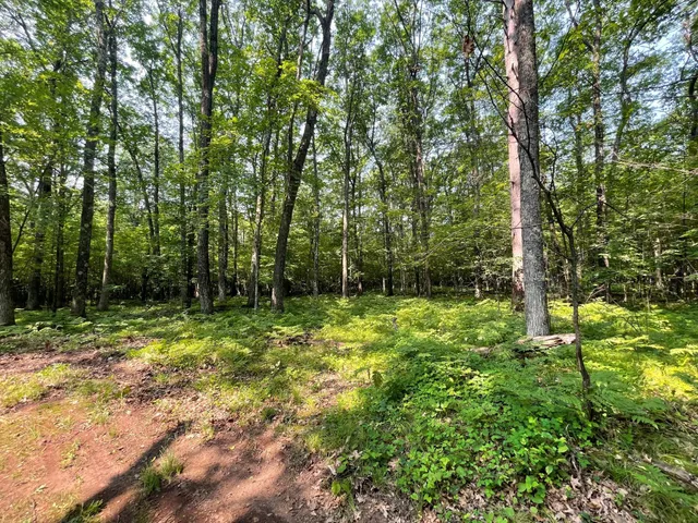 $399,900 | Tbd Doetch Lane, Gordon, WI 54838