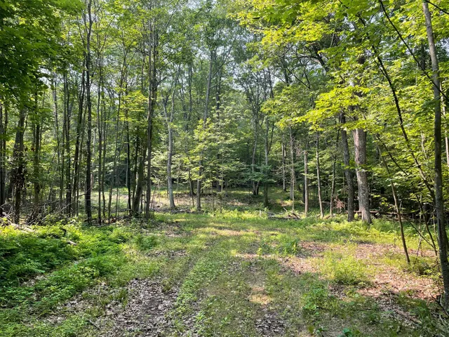 $399,900 | Tbd Doetch Lane, Gordon, WI 54838