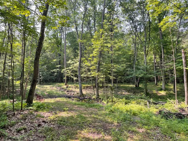 $399,900 | Tbd Doetch Lane, Gordon, WI 54838