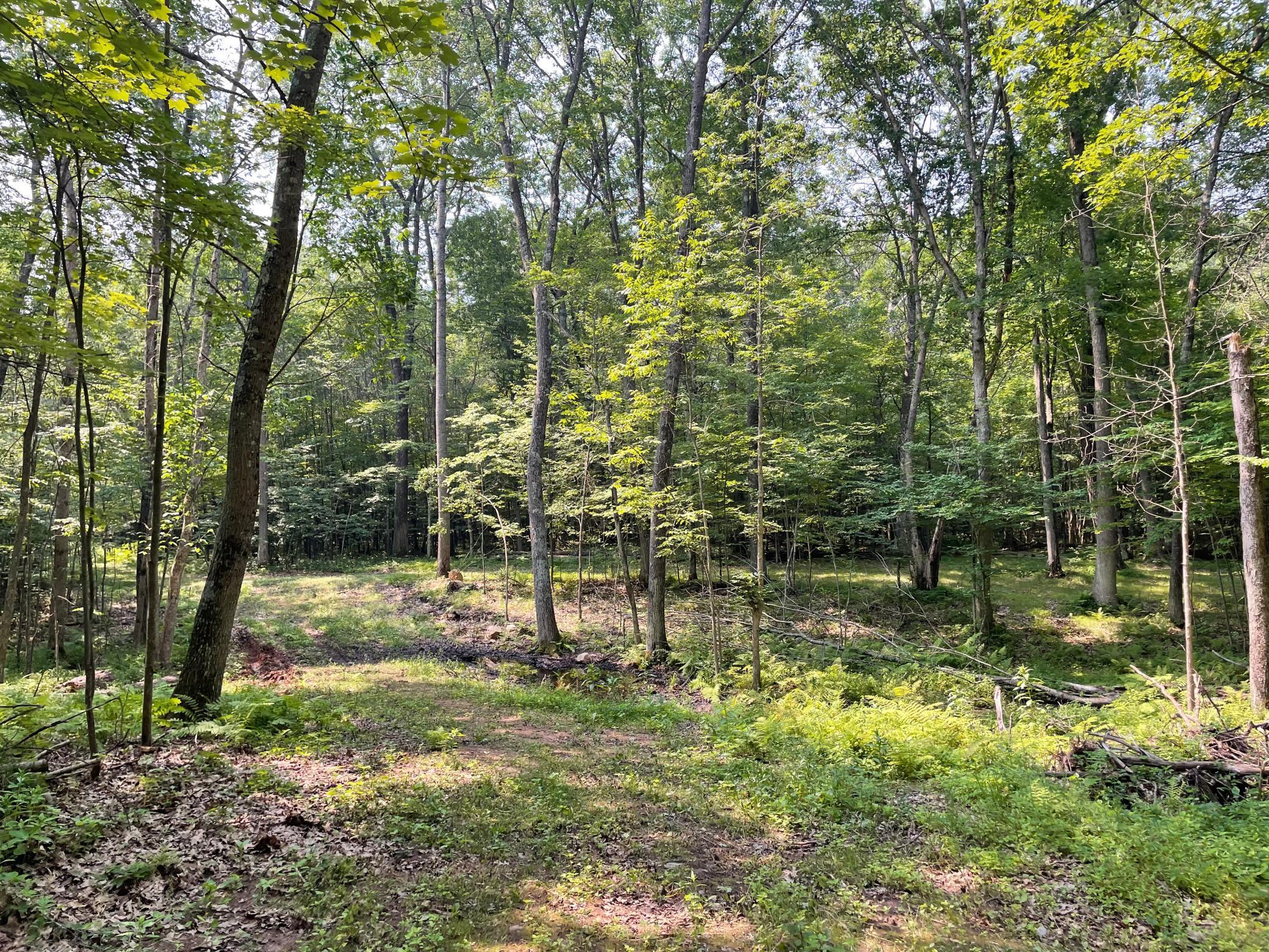 Tbd Doetch Lane Gordon, WI 54838 - Photo 56 of 93