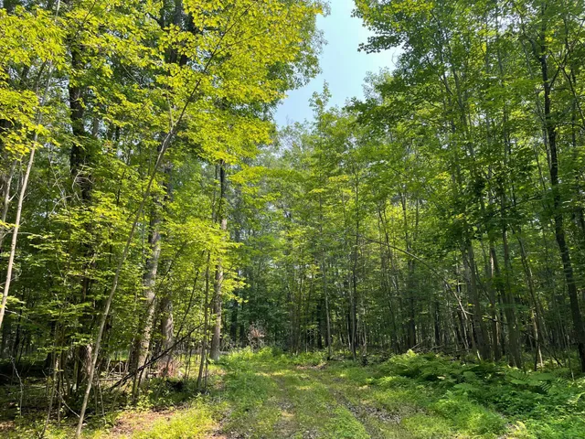 $399,900 | Tbd Doetch Lane, Gordon, WI 54838