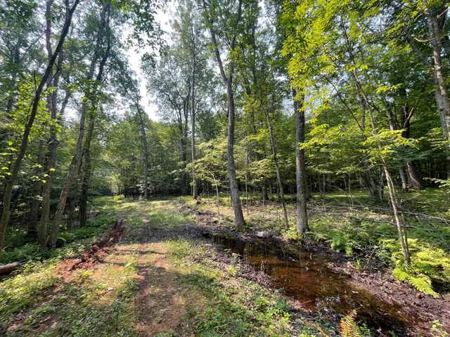 $399,900 | Tbd Doetch Lane, Gordon, WI 54838