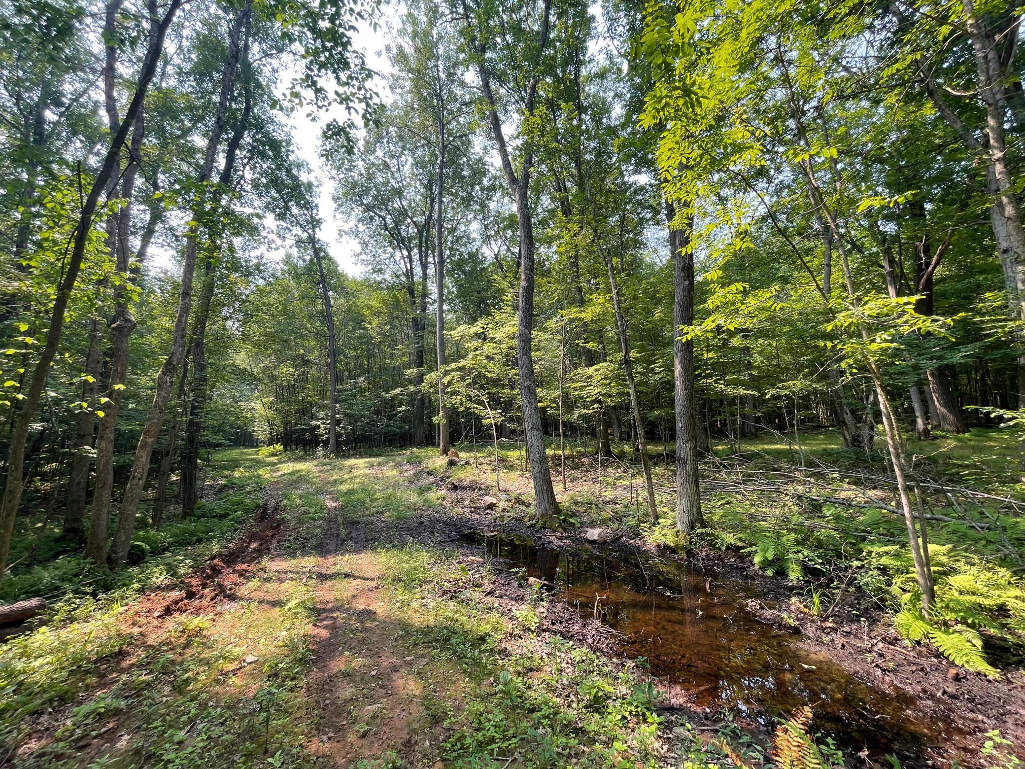 Tbd Doetch Lane Gordon, WI 54838 - Photo 58 of 93