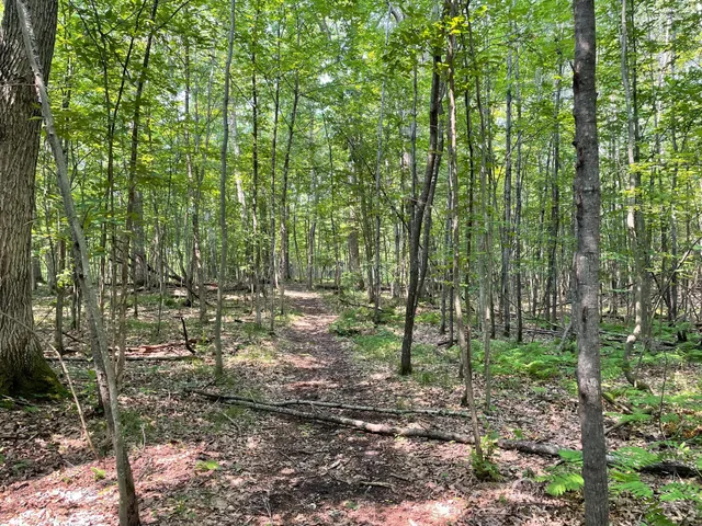 $399,900 | Tbd Doetch Lane, Gordon, WI 54838