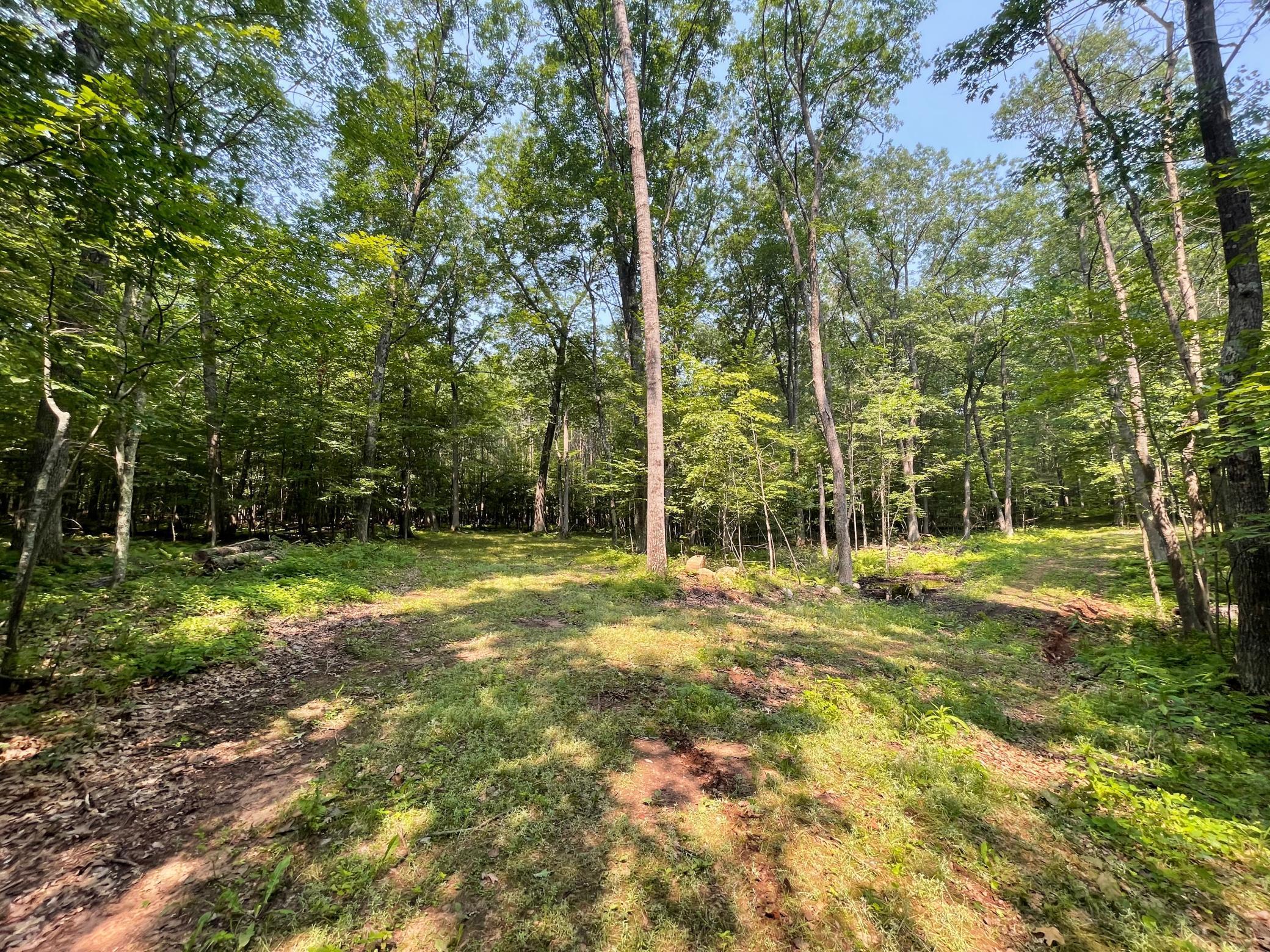 Tbd Doetch Lane Gordon, WI 54838 - Photo 60 of 93