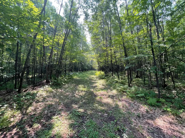 $399,900 | Tbd Doetch Lane, Gordon, WI 54838