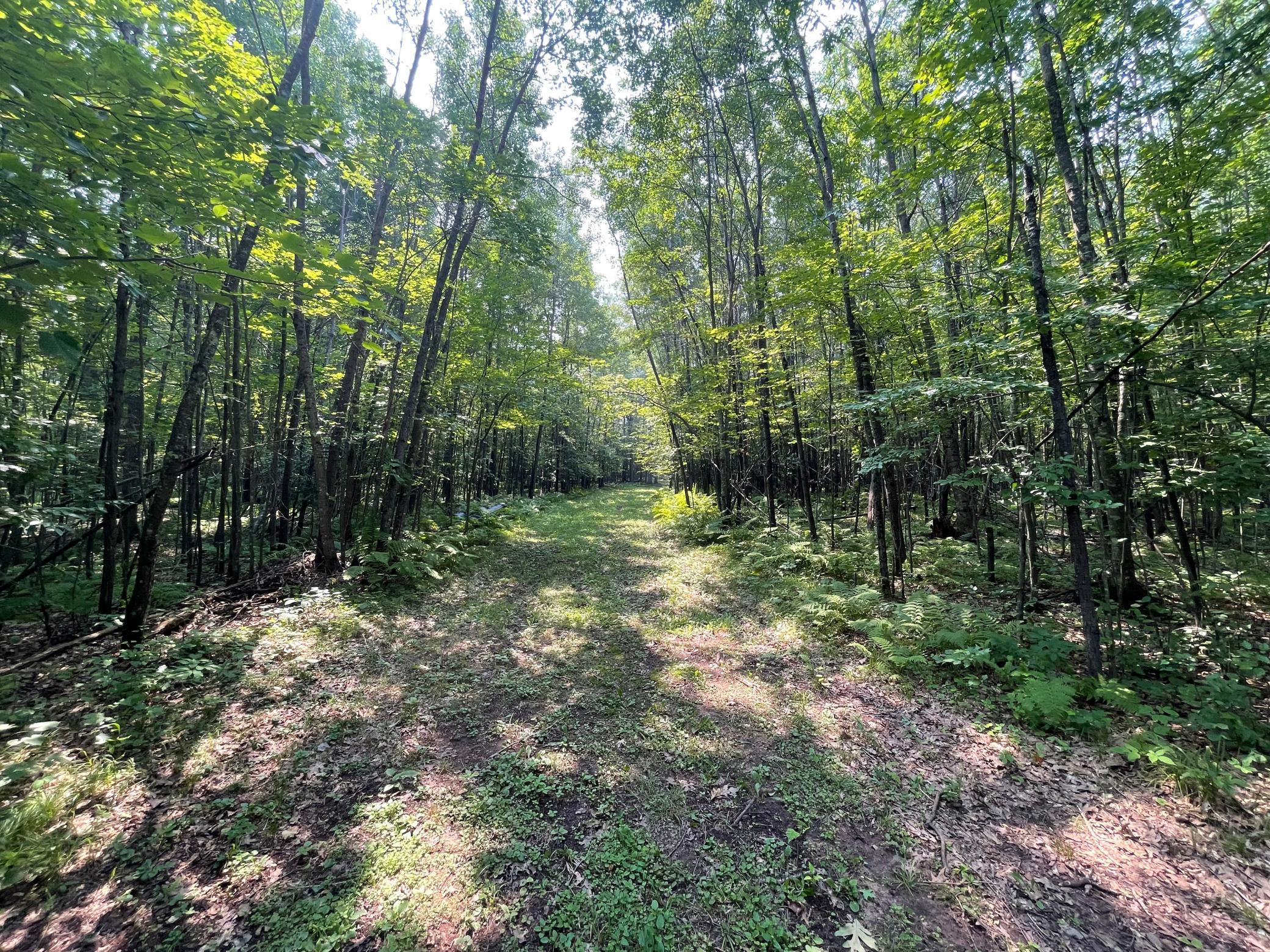 Tbd Doetch Lane Gordon, WI 54838 - Photo 61 of 93