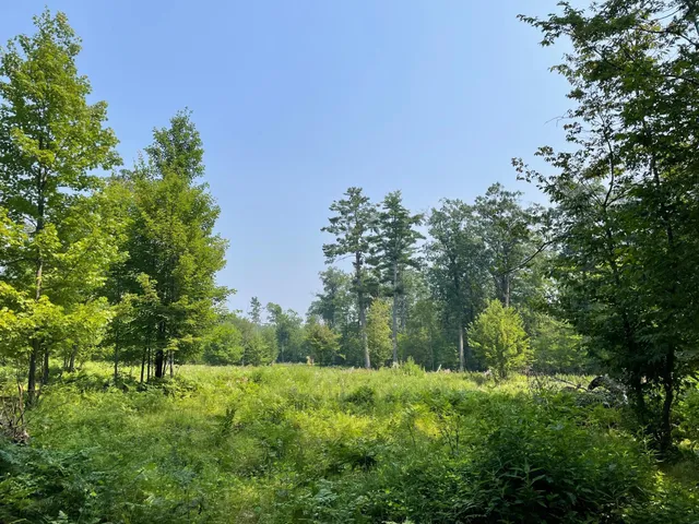 $399,900 | Tbd Doetch Lane, Gordon, WI 54838