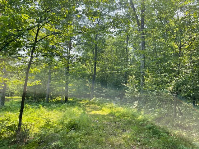 $399,900 | Tbd Doetch Lane, Gordon, WI 54838