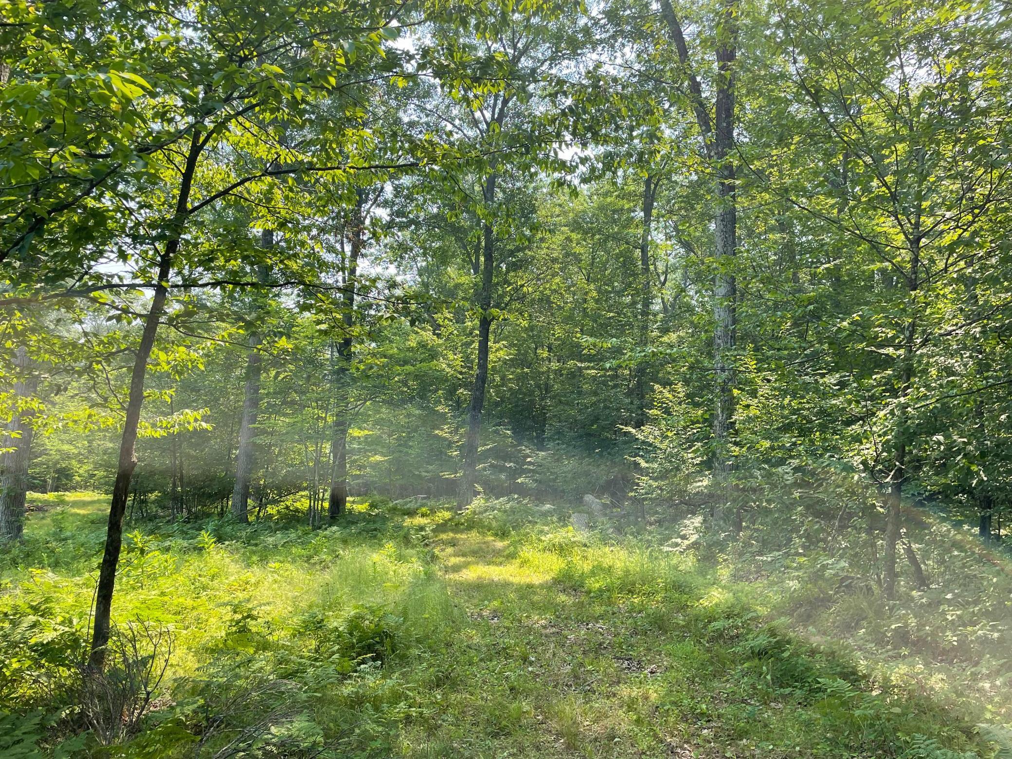 Tbd Doetch Lane Gordon, WI 54838 - Photo 63 of 93