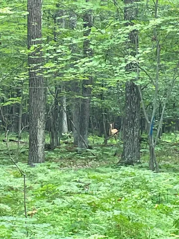 $399,900 | Tbd Doetch Lane, Gordon, WI 54838