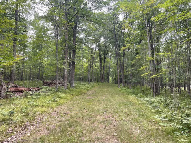 $399,900 | Tbd Doetch Lane, Gordon, WI 54838