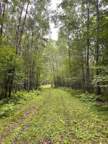 $399,900 | Tbd Doetch Lane, Gordon, WI 54838