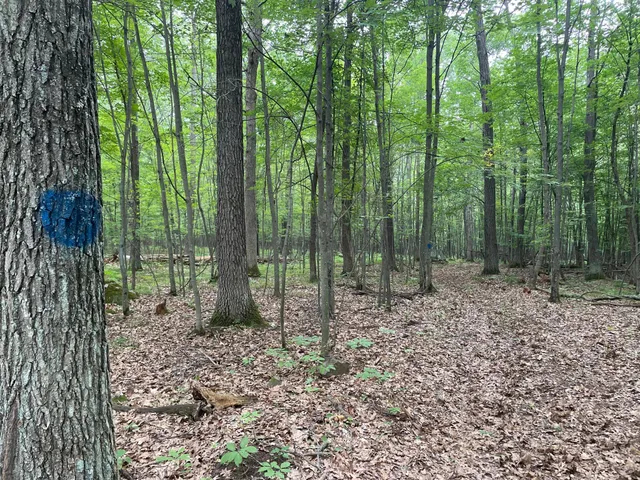 $399,900 | Tbd Doetch Lane, Gordon, WI 54838