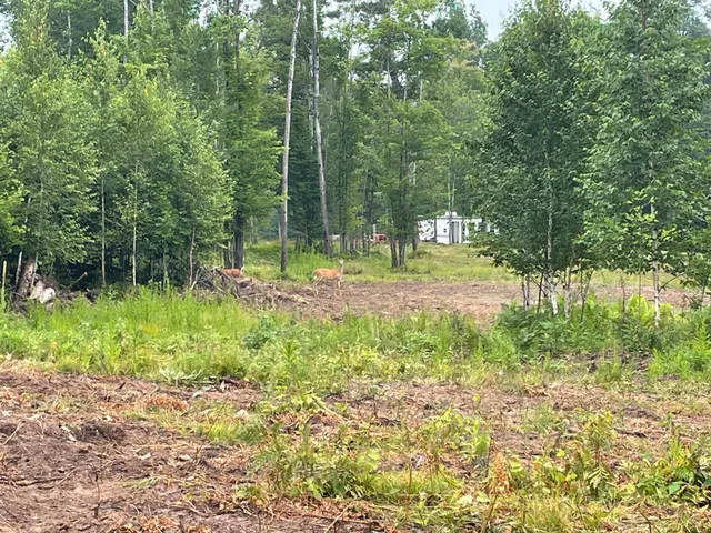 $399,900 | Tbd Doetch Lane, Gordon, WI 54838