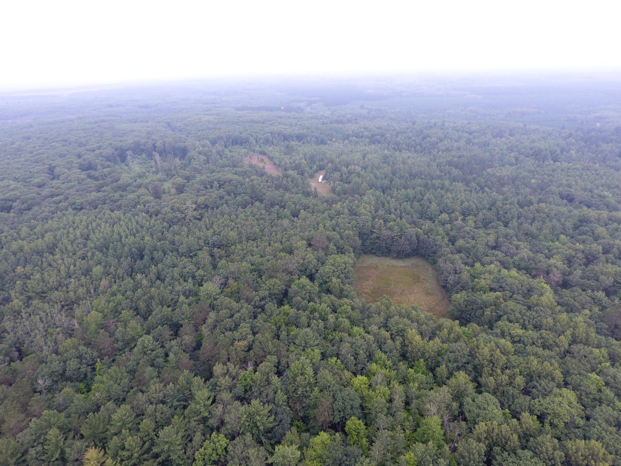 Tbd Doetch Lane Gordon, WI 54838 - Photo 8 of 93