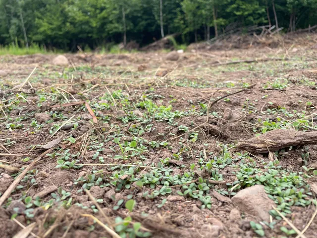 $399,900 | Tbd Doetch Lane, Gordon, WI 54838