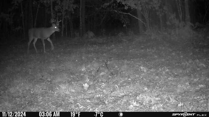 Tbd Doetch Lane Gordon, WI 54838 - Photo 85 of 93