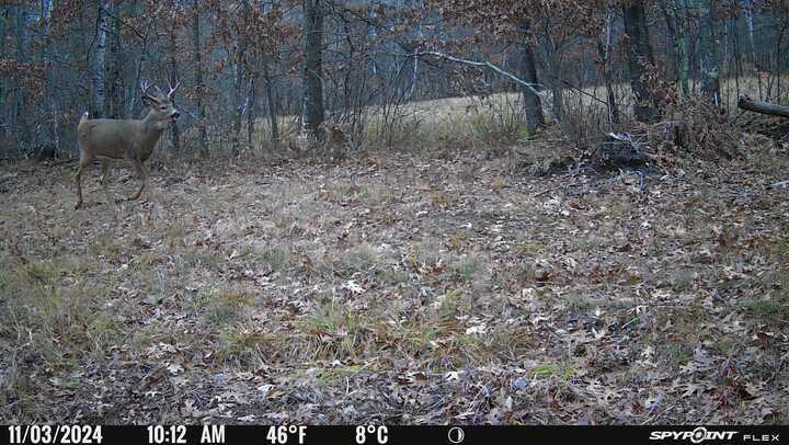 Tbd Doetch Lane Gordon, WI 54838 - Photo 86 of 93