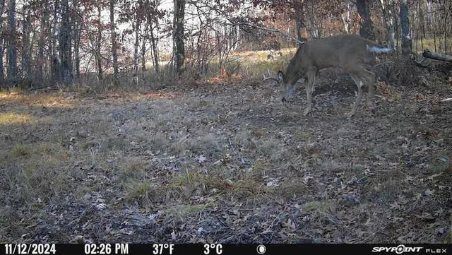 $399,900 | Tbd Doetch Lane, Gordon, WI 54838