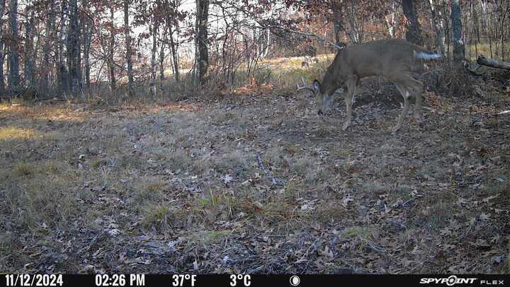 Tbd Doetch Lane Gordon, WI 54838 - Photo 87 of 93