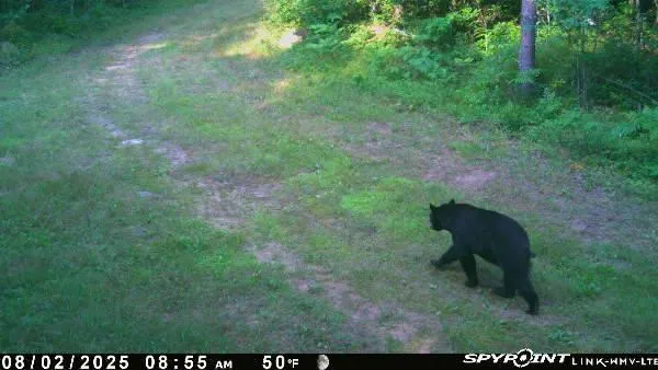 $399,900 | Tbd Doetch Lane, Gordon, WI 54838