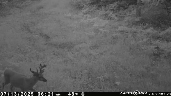 Tbd Doetch Lane Gordon, WI 54838 - Photo 89 of 93