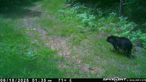 Tbd Doetch Lane Gordon, WI 54838 - Photo 90 of 93