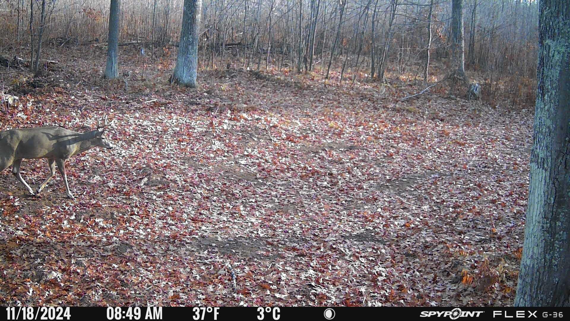 Tbd Doetch Lane Gordon, WI 54838 - Photo 92 of 93