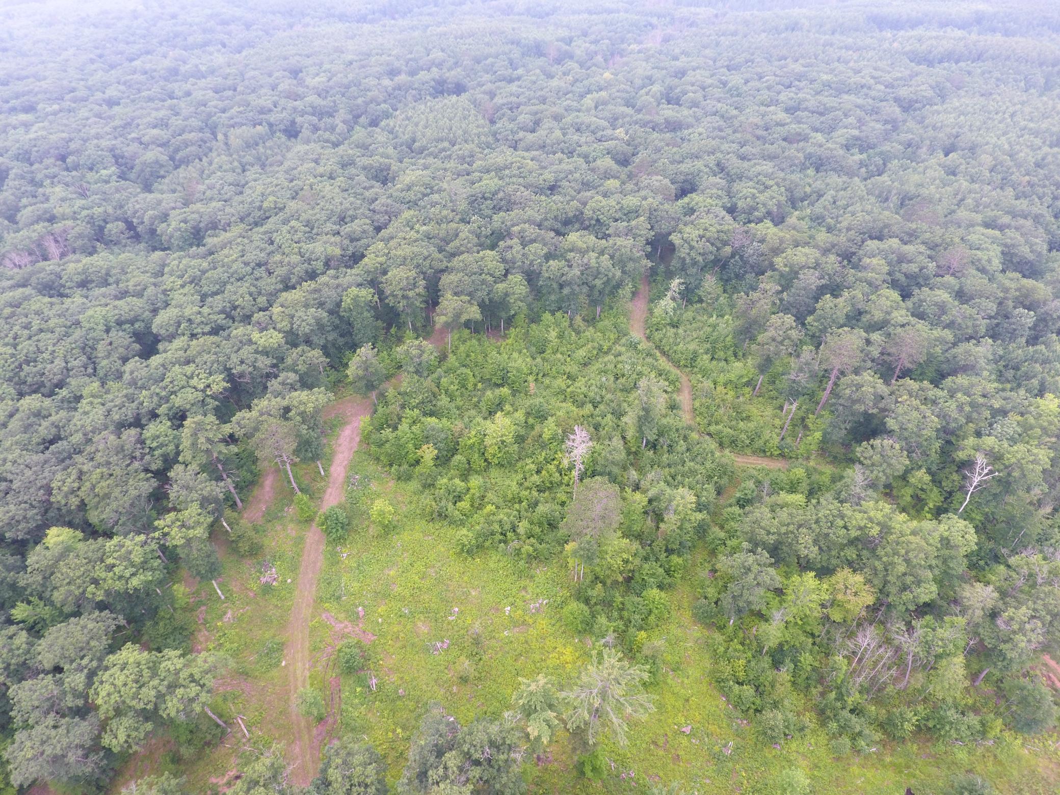 Tbd Doetch Lane Gordon, WI 54838 - Photo 10 of 93