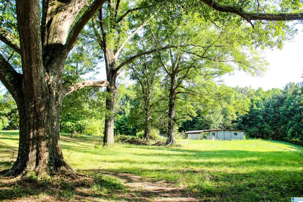 $80,000 | 0 Aaron Road, Jasper, AL 35501